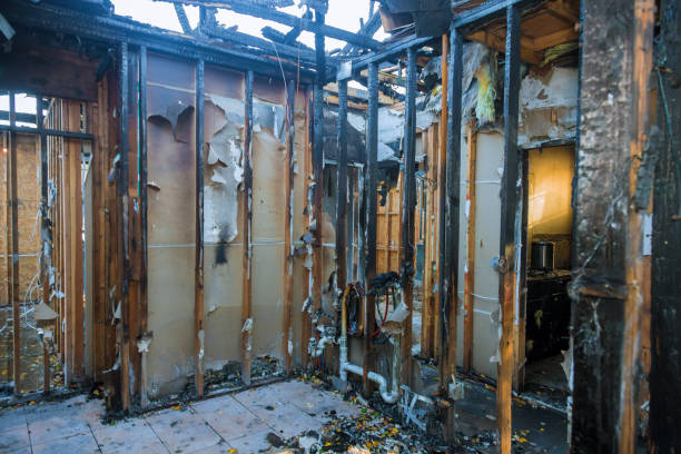 Professional Smoke Damage Removal technician working in Bushyhead, OK